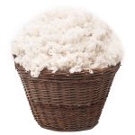 Cottoned GOTS certified cotton filling
