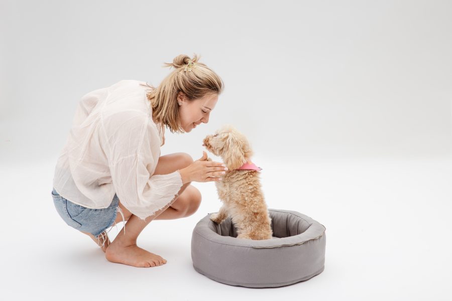 Custom Organic Cotton Cave Pet Bed - Bild 7